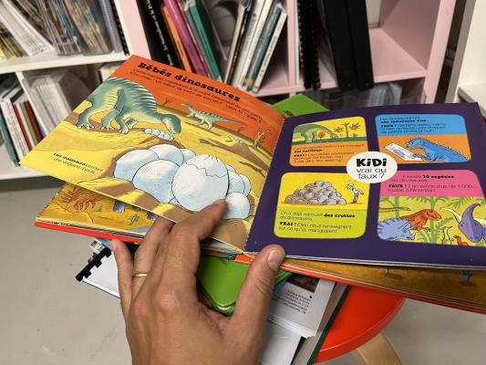 3119772021690369857722979137876613647253816n